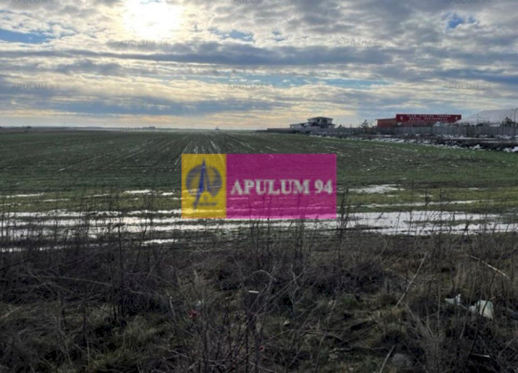 Teren Mihailesti- langa Dovinot.