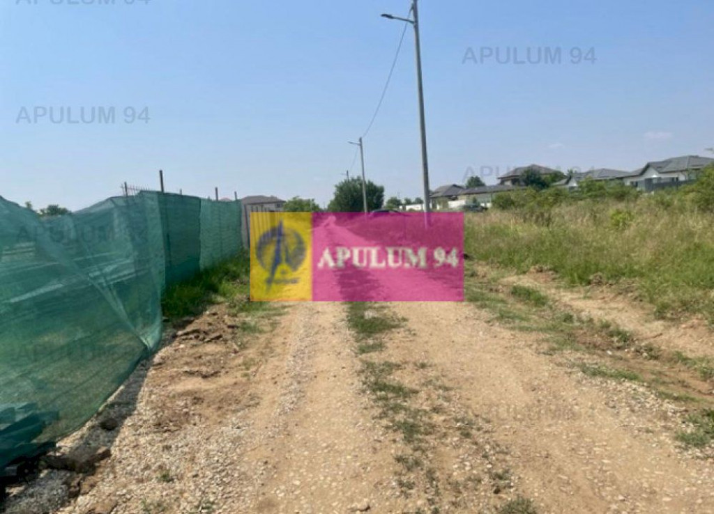 Teren Domnesti- Ciutaci.