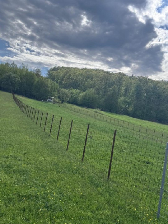 Teren intravilan, 2500mp, Voievodeasa, Marginea