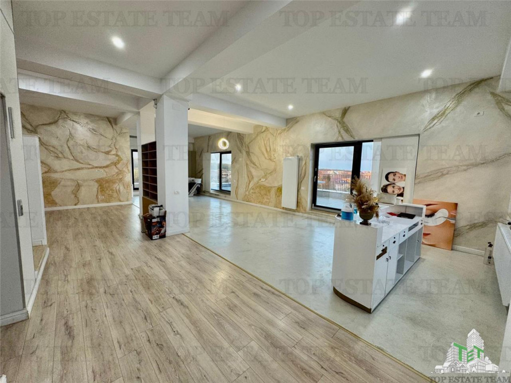 Penthouse de inchiriat cu terasa 330mp in zona de Nord/ Pipe