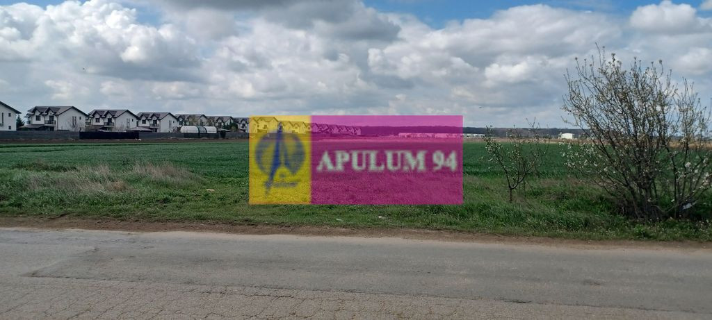 Teren lotizat 4,650mp Sabareni / Strada Cereanca