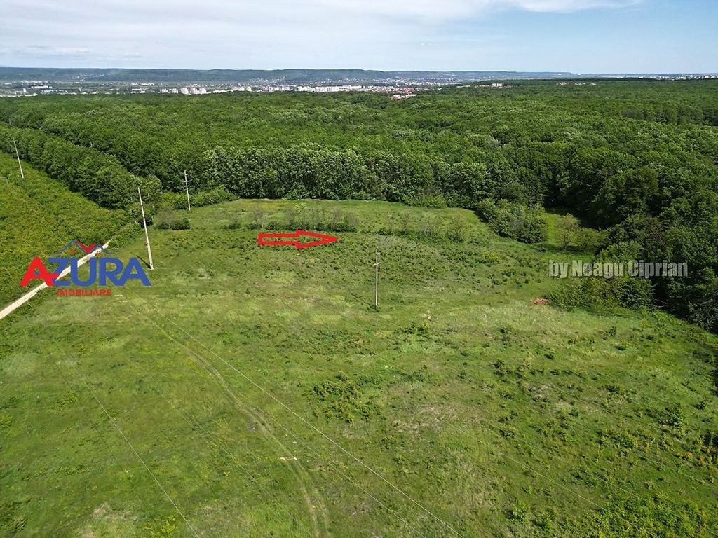 Vanzare teren Balotesti, la padure