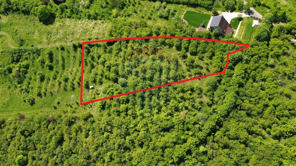 Miron Costin, teren de vânzare, Mega Reducere de Preț-3...