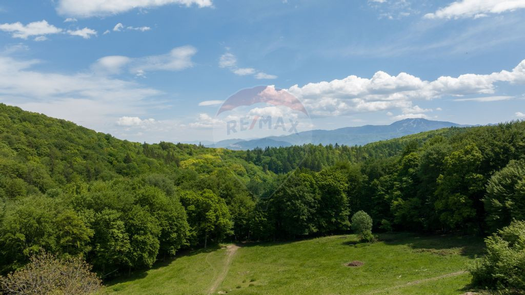 Teren de vânzare – Colonia 1 Mai, 5.310 mp, ideal pent...
