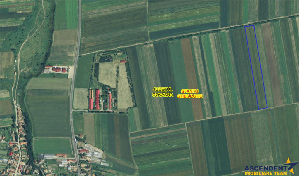 Teren extravilan pe 11.700mp, Coseni, Covasna