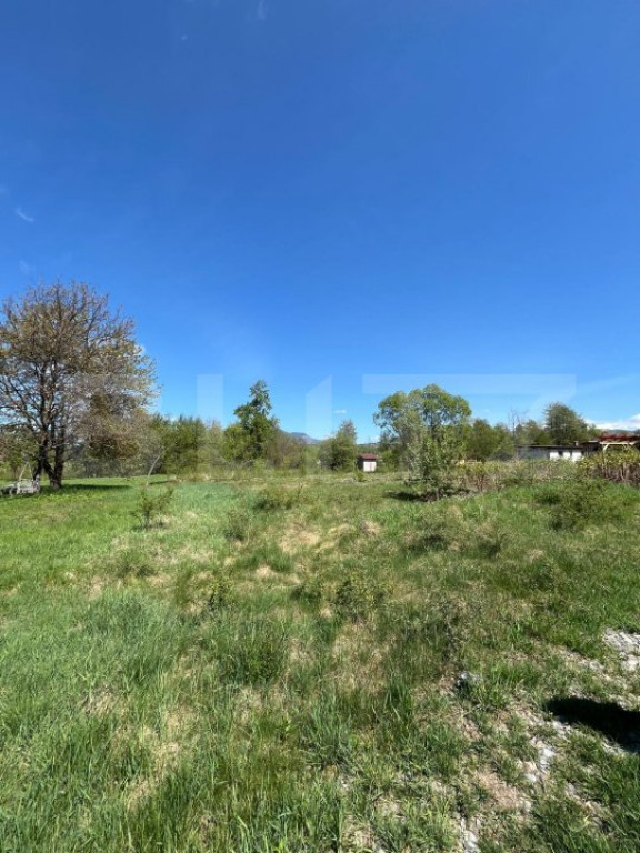 Teren de 30 ari de vânzare în Bistrița Bârgăului – zo