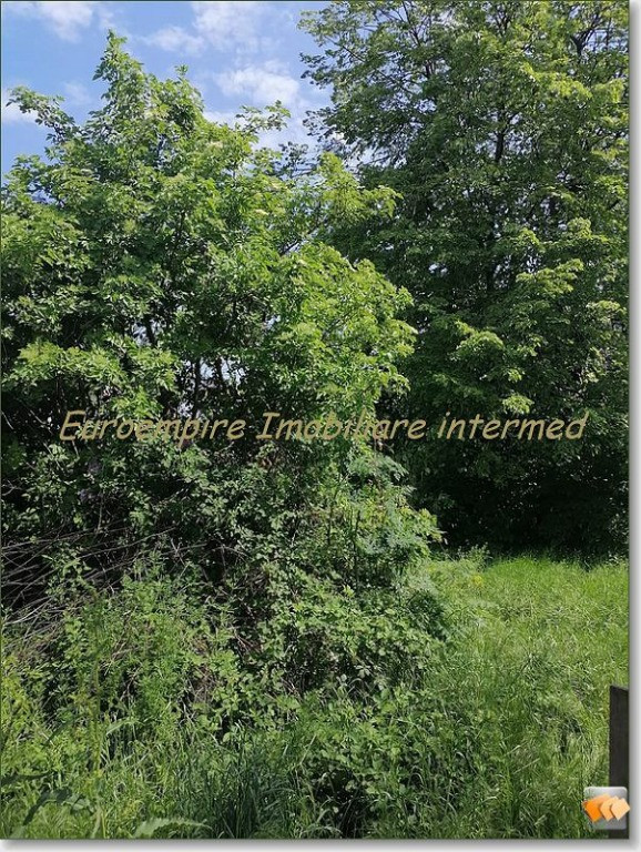 Teren intravilan construibil Lazu Centru