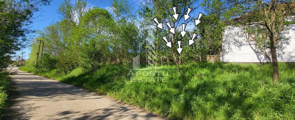 Teren intravilan, In Rate Cuied Arad