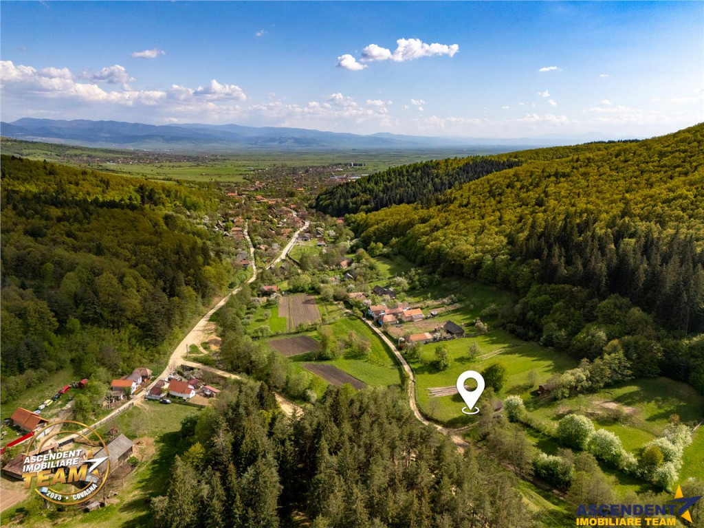 FILM! Casa de vacanta, in padure, cu 1.300mp teren, cadru id