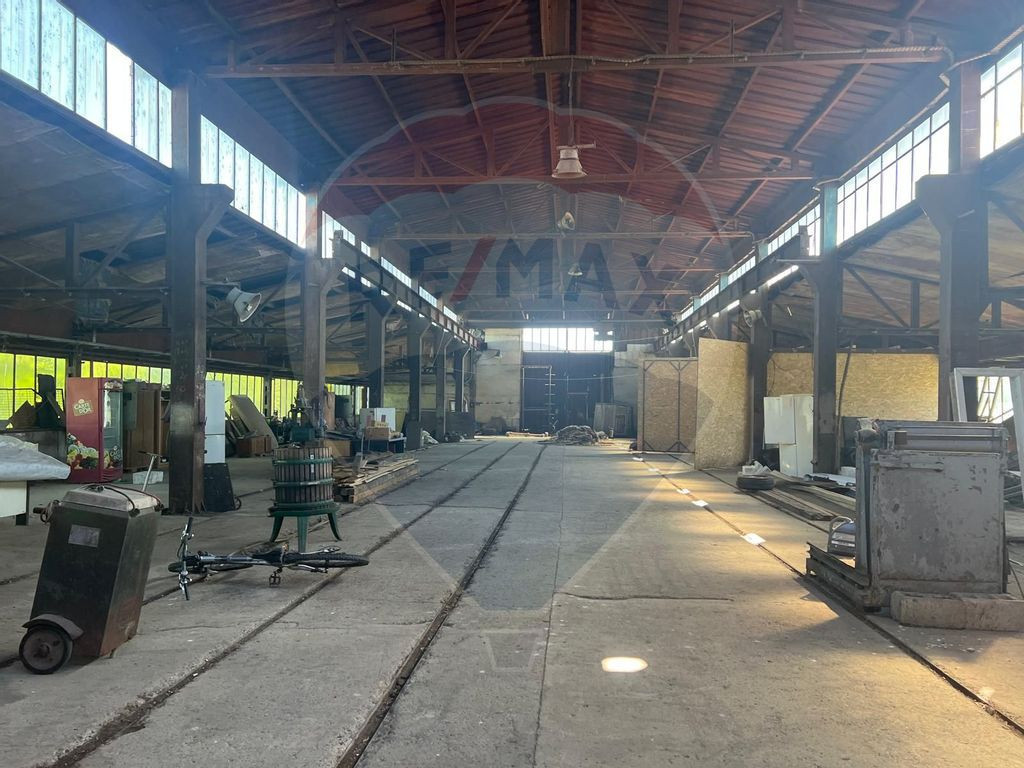 Hala metalica Campineanca