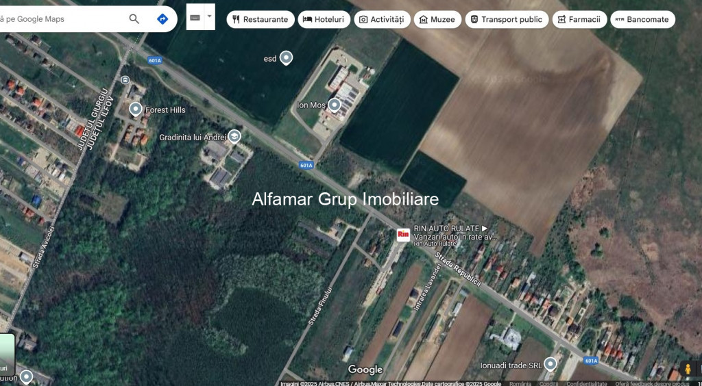 Teren 15.000mp, Padurea Ileana- Dragomiresti- Vale