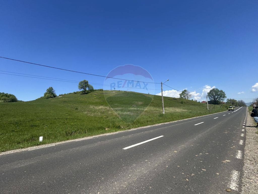Teren 7,430mp Copalnic / Strada principala