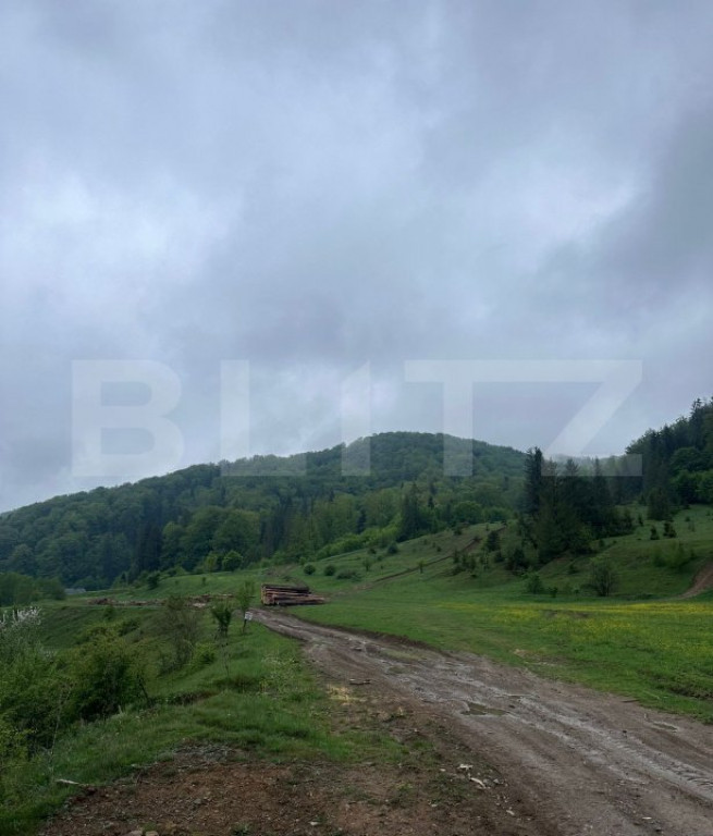 Teren intravilan 20.000 mp, zona Soarecului, Marginea