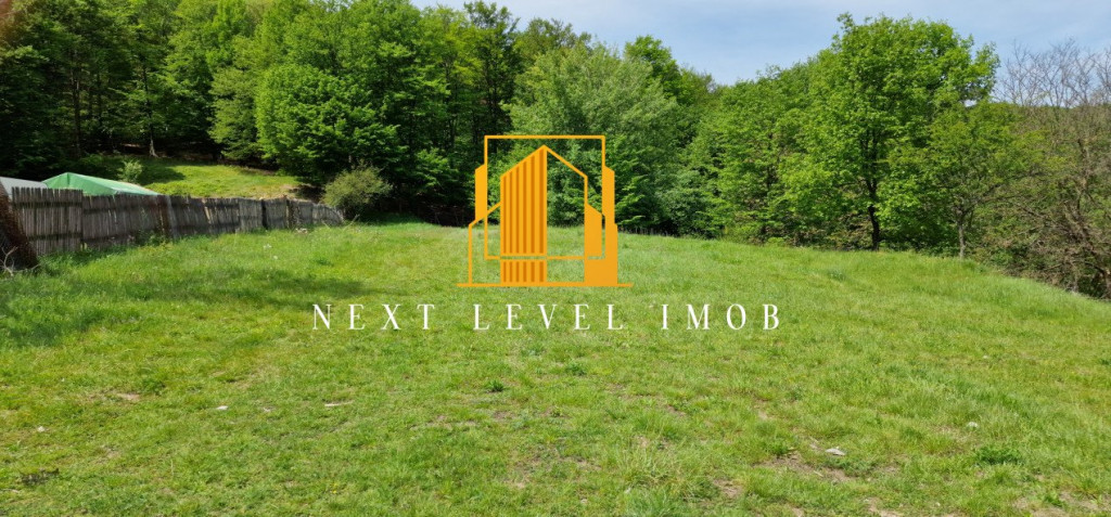 Teren extravilan 2200 mp - Budeasa Mică, Argeș