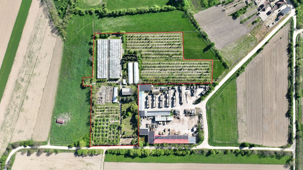 De vanzare Teren 20000MP cu sere/solarii și plantații