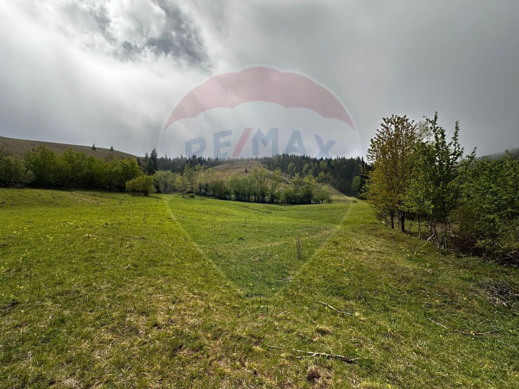 Teren Cracaoani / DF Purcaroaia