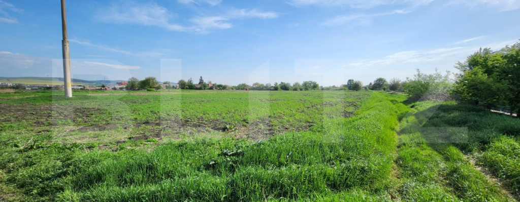 Teren intravilan, de vanzare, 5000 mp, zona Combinat