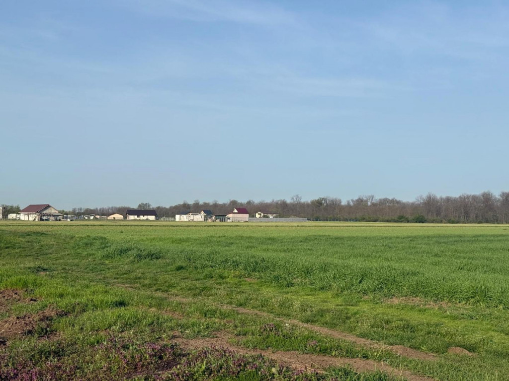 Teren intravilan Magurele