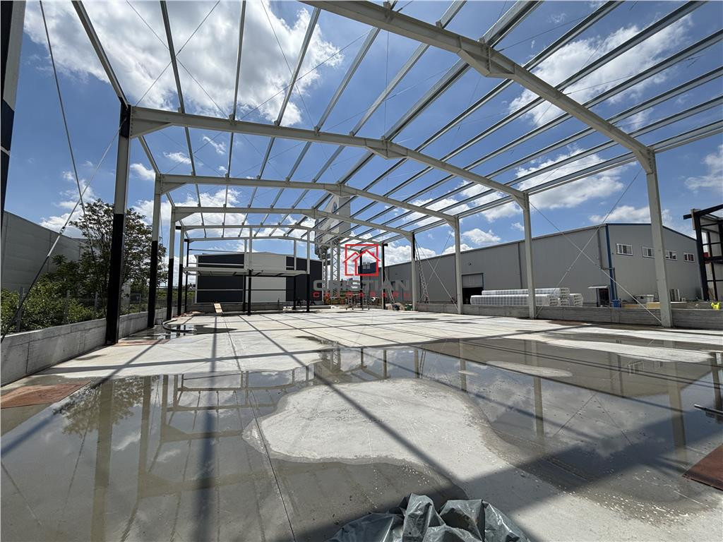 Depozit/hala/spatiu industrial Chiajna - A1 - Centura, ILFO