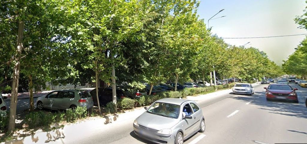 Teren 13850mp cu deschidere de 95ml la bd. Theodor Pallady