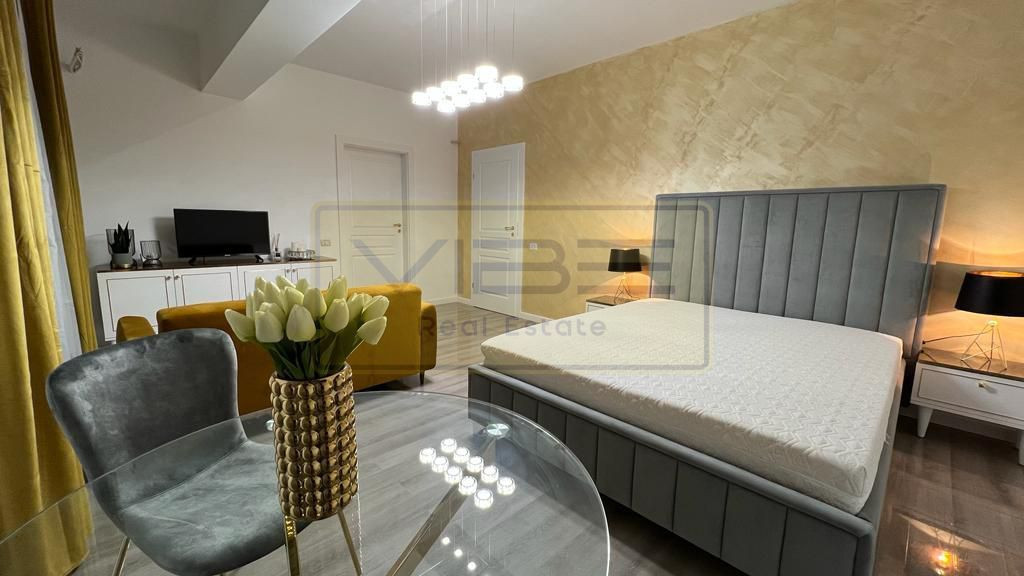 Apartament 1 camera premium Copou