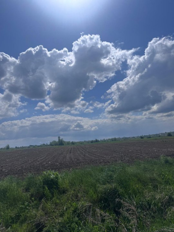 Teren extravilan, 7800mp, Burla