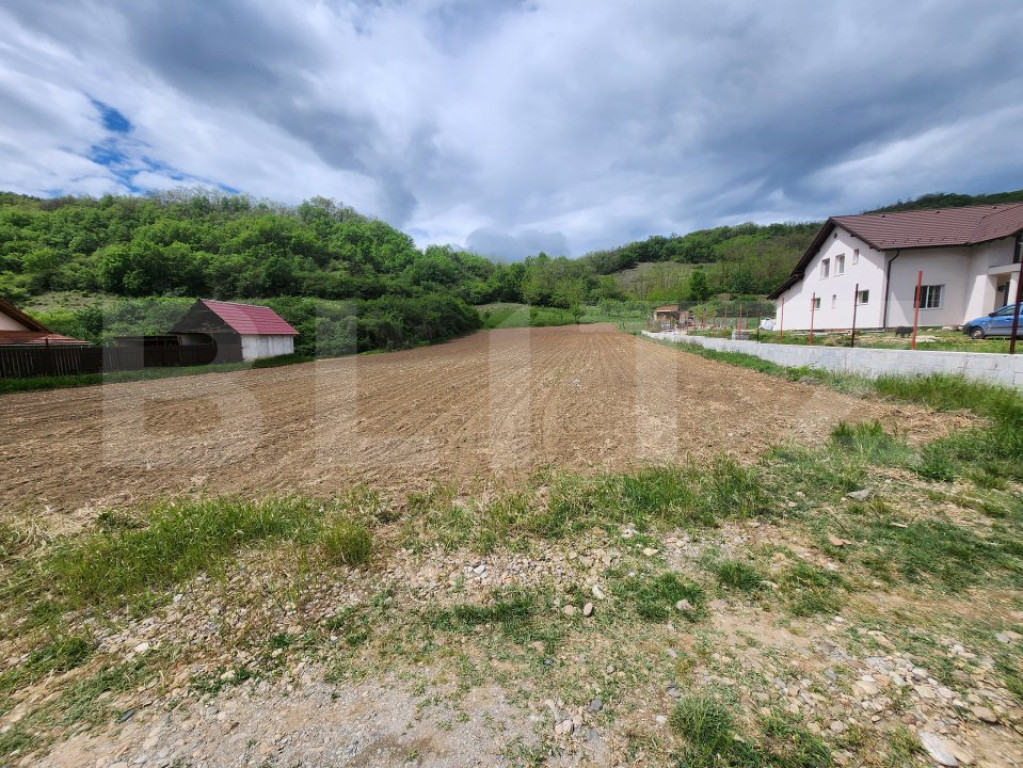 Teren intravilan,2700 mp,Vintu de jos