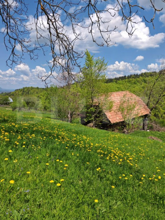 Teren intravilan 3400 mp, in Balaban - Simon, Bran - Brasov