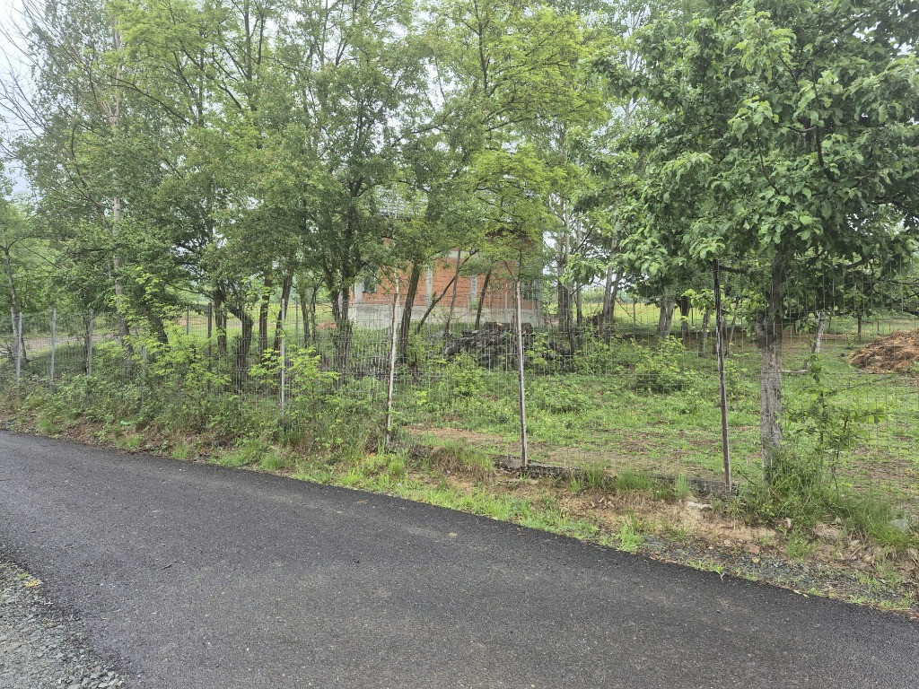 Tautii de Sus, 12 ari teren