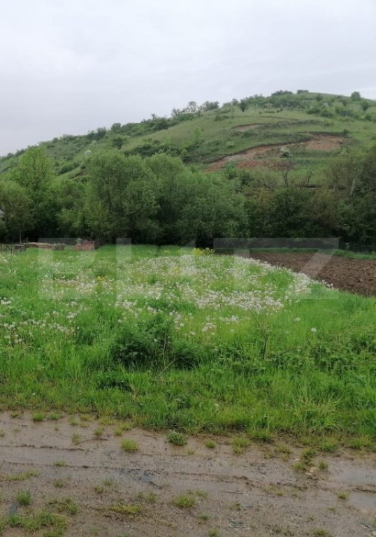 Oportunitate Vlaha ! Teren Intravilan, 900 mp,plan drept !