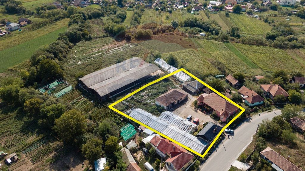 Casă cu teren și anexe, curte generoasă, potențial ur...