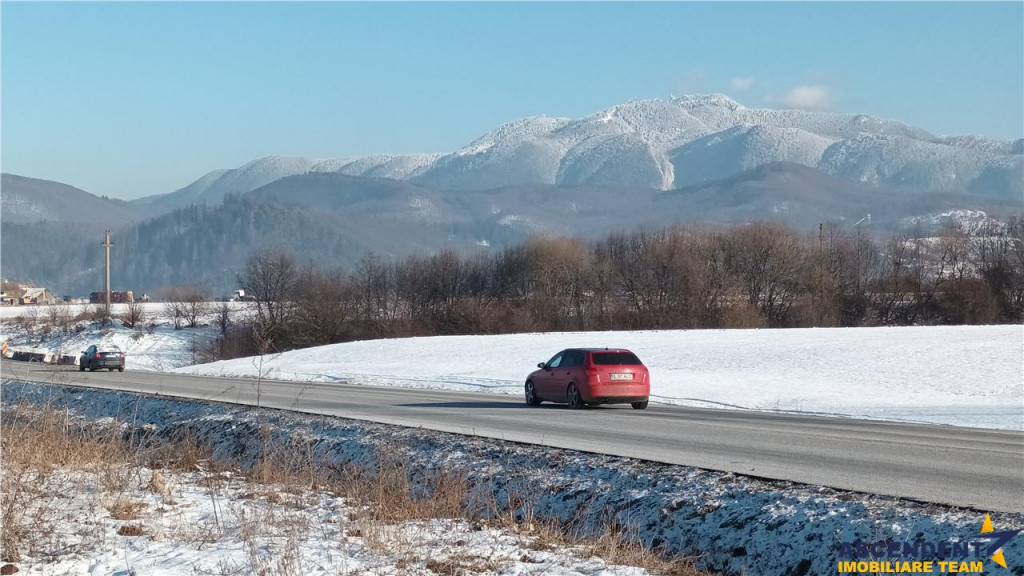 FILM! Teren imprejmuit proiect de casa autorizatie de con