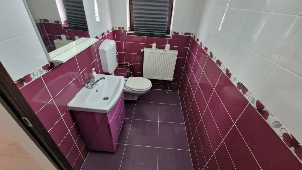 Spatiu comercial zona Vlahuță