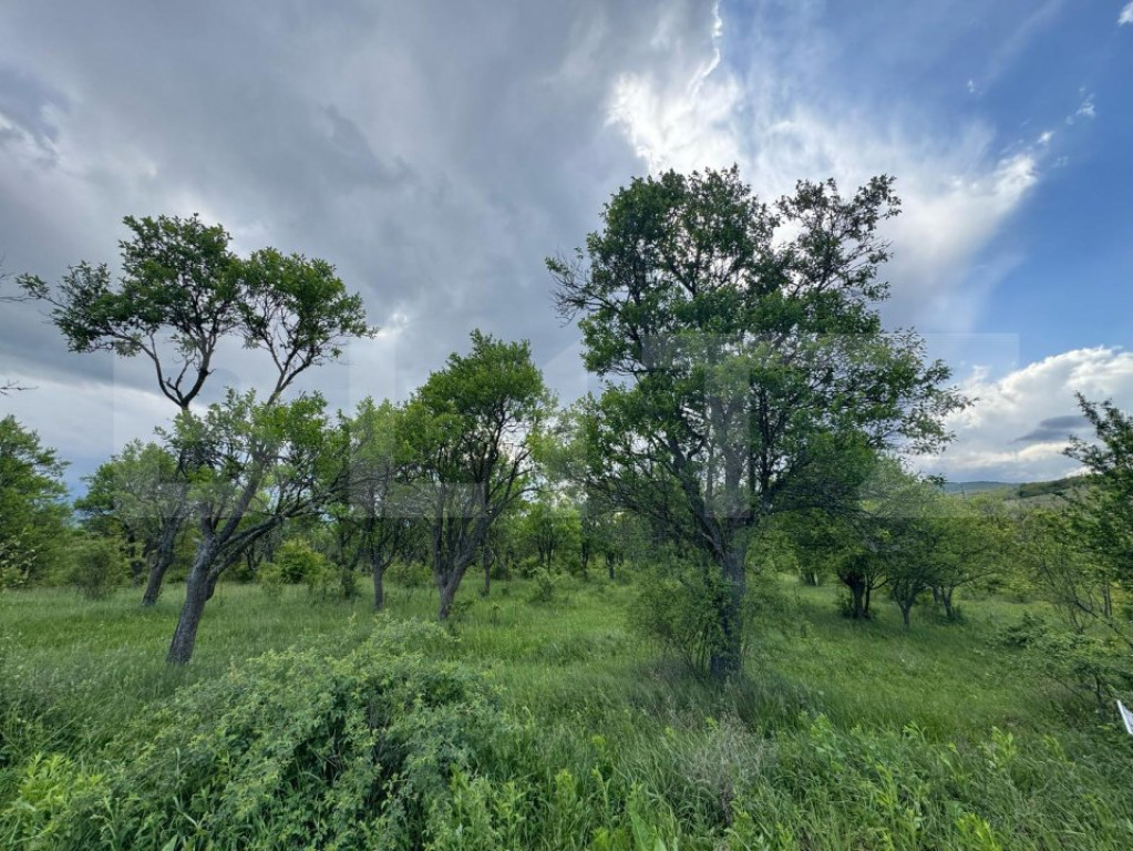 Teren extravilan de vanzare, 5305 mp, in apropiere de Hațeg