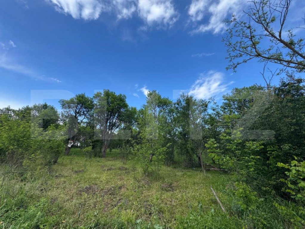 Teren extravilan de vanzare, 6000 mp, zona Hateg