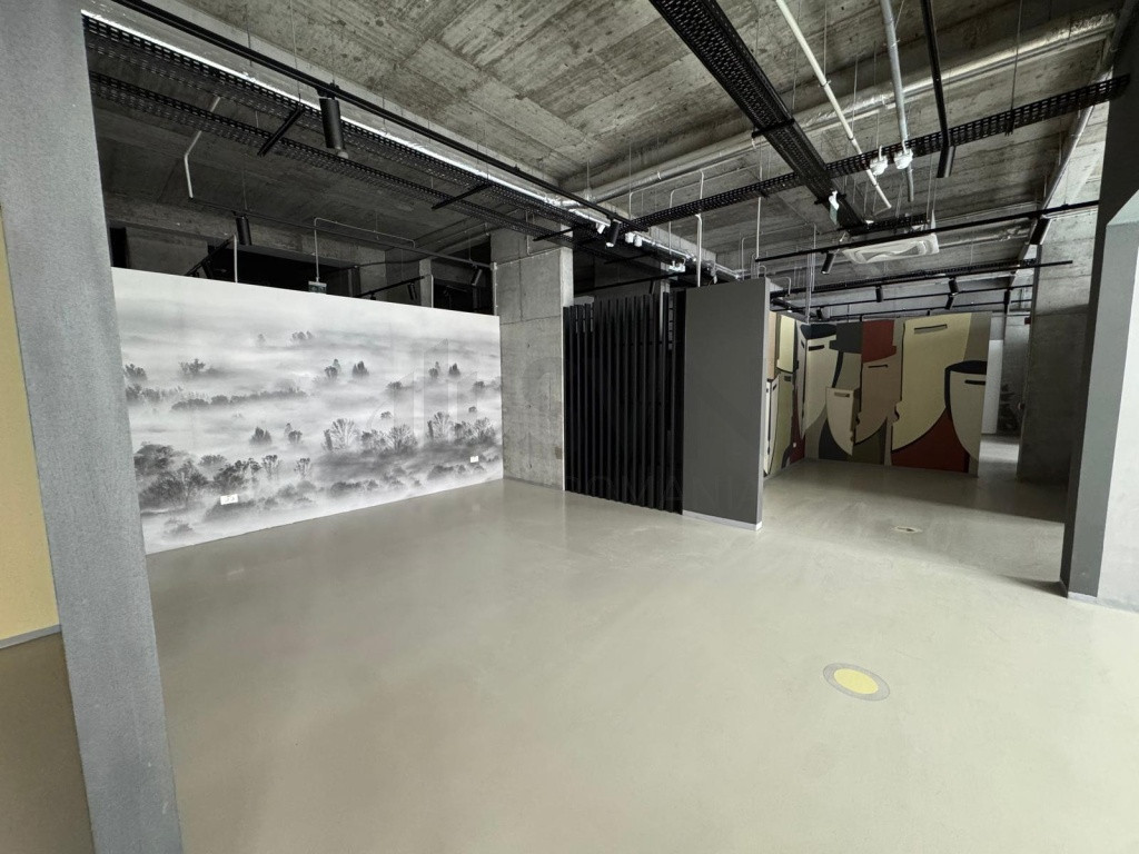 Oportunitate investitie I Spatiu Comercial I Mihai Bravu ...