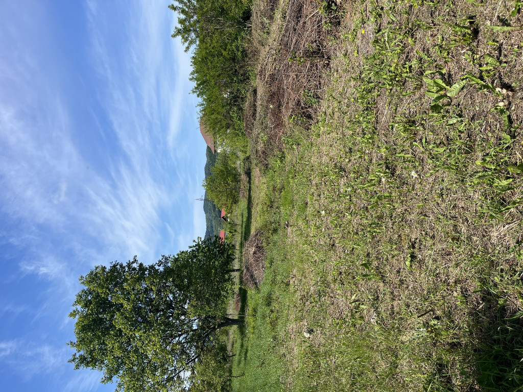 Teren superb cu toate utilitățile Bujoreni