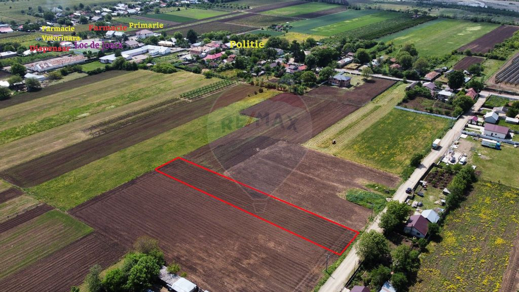 Teren Tifesti / Strada Secundara 47