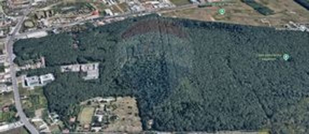 Teren 10,809mp, Padurea Baneasa Bucuresti sector 1