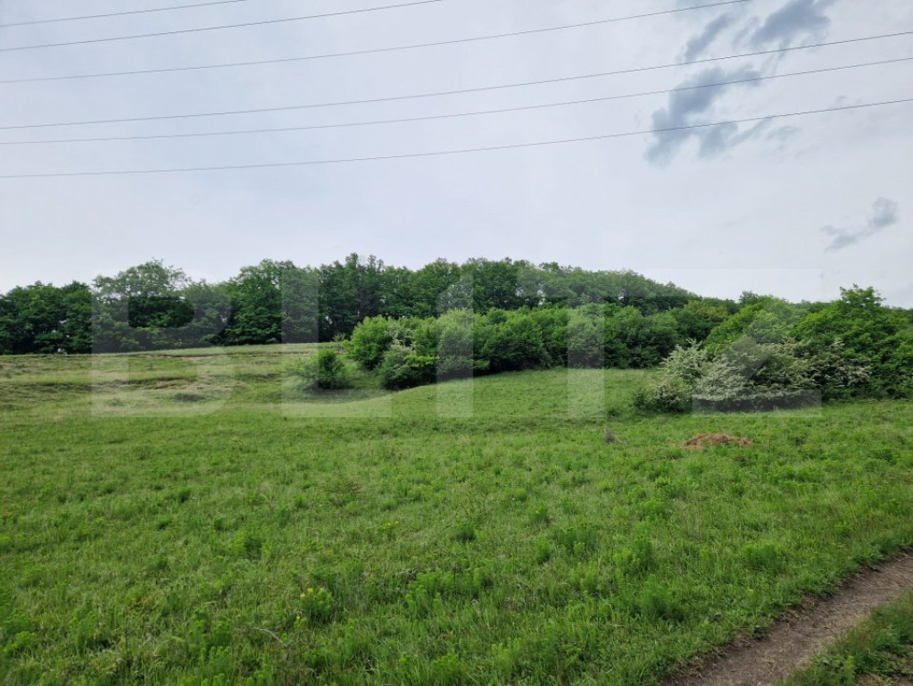 Teren extravilan de vânzare Vlaha 15.000 mp, zonă superbă