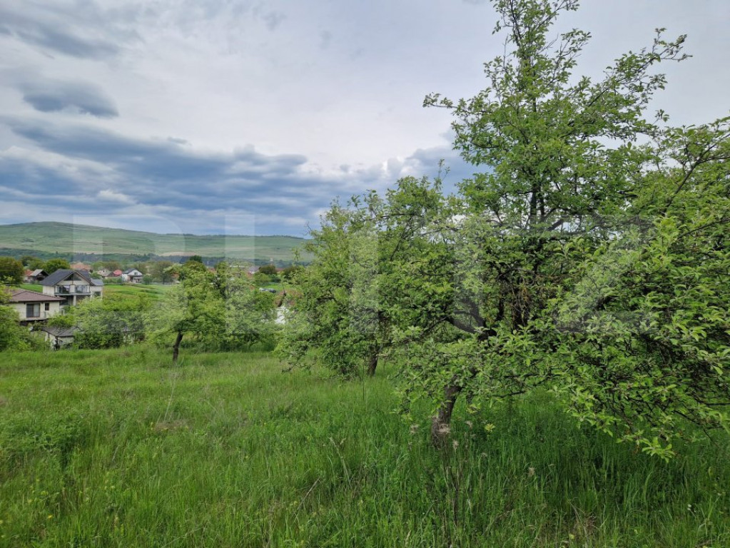 Teren extravilan de vânzare – 1000 mp, livada, ideal pent