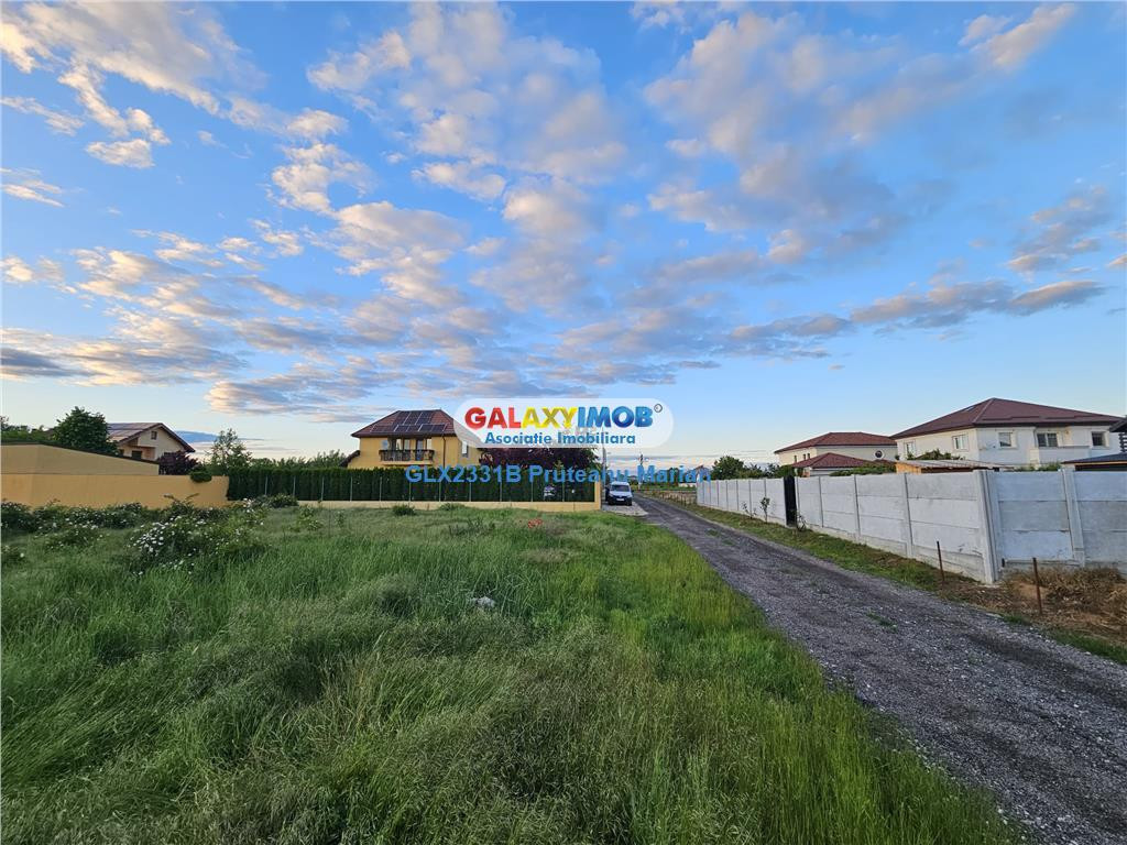 Teren Cornetu langa padure