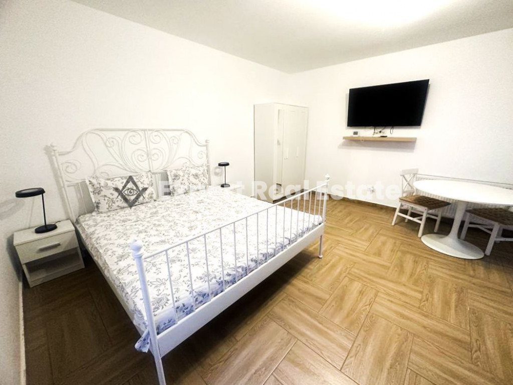 Studio MODERN-OTOPENI-CENTRAL-PET FRIENDLY