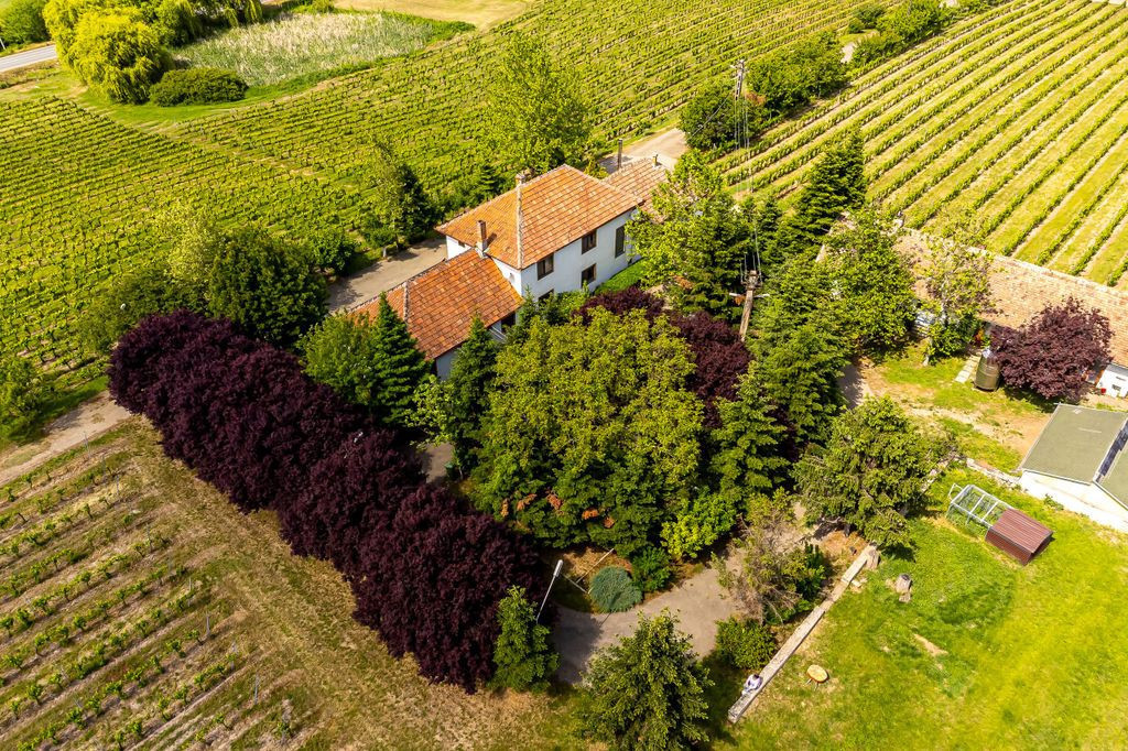 Domeniul Hellburg– 16,27 ha vie + 1,4 ha intravilan