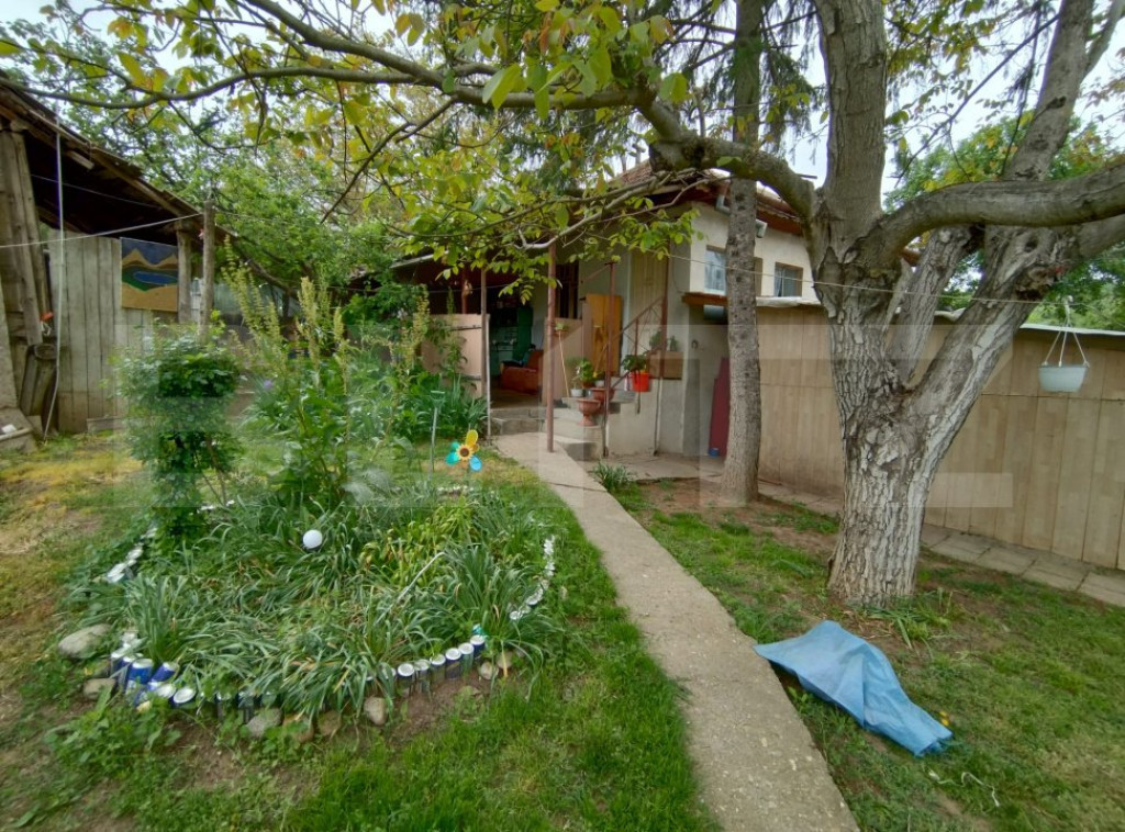 Teren 3000mp+casa veche, Leamna de Sus