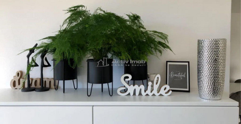 Apartament la casa, cu terasa