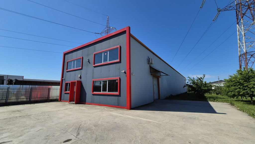 Hala | Voluntari | 600mp