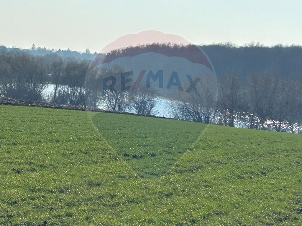 DE VANZARE intravilan LAC, Moara Vlasiei, Caldarusani TER...
