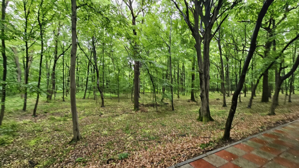 PAULESTI zona lac , zona agrement , teren padure 22500 mp la