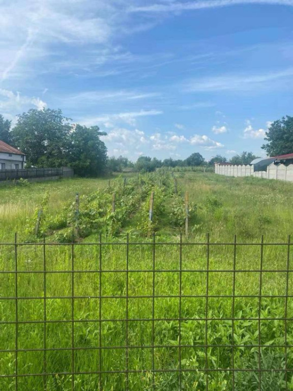 Teren intravilan Cârcea 2900mp